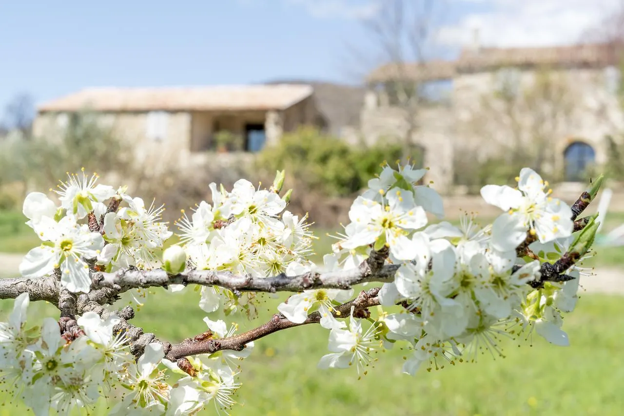 Domaine De Saint Quentin Bed & Breakfast Oppedette
