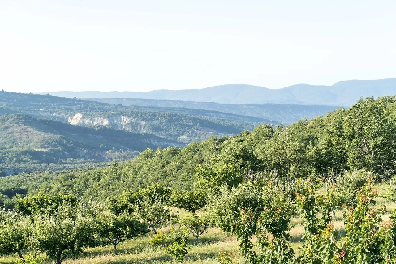 Domaine De Saint Quentin Bed & Breakfast Oppedette