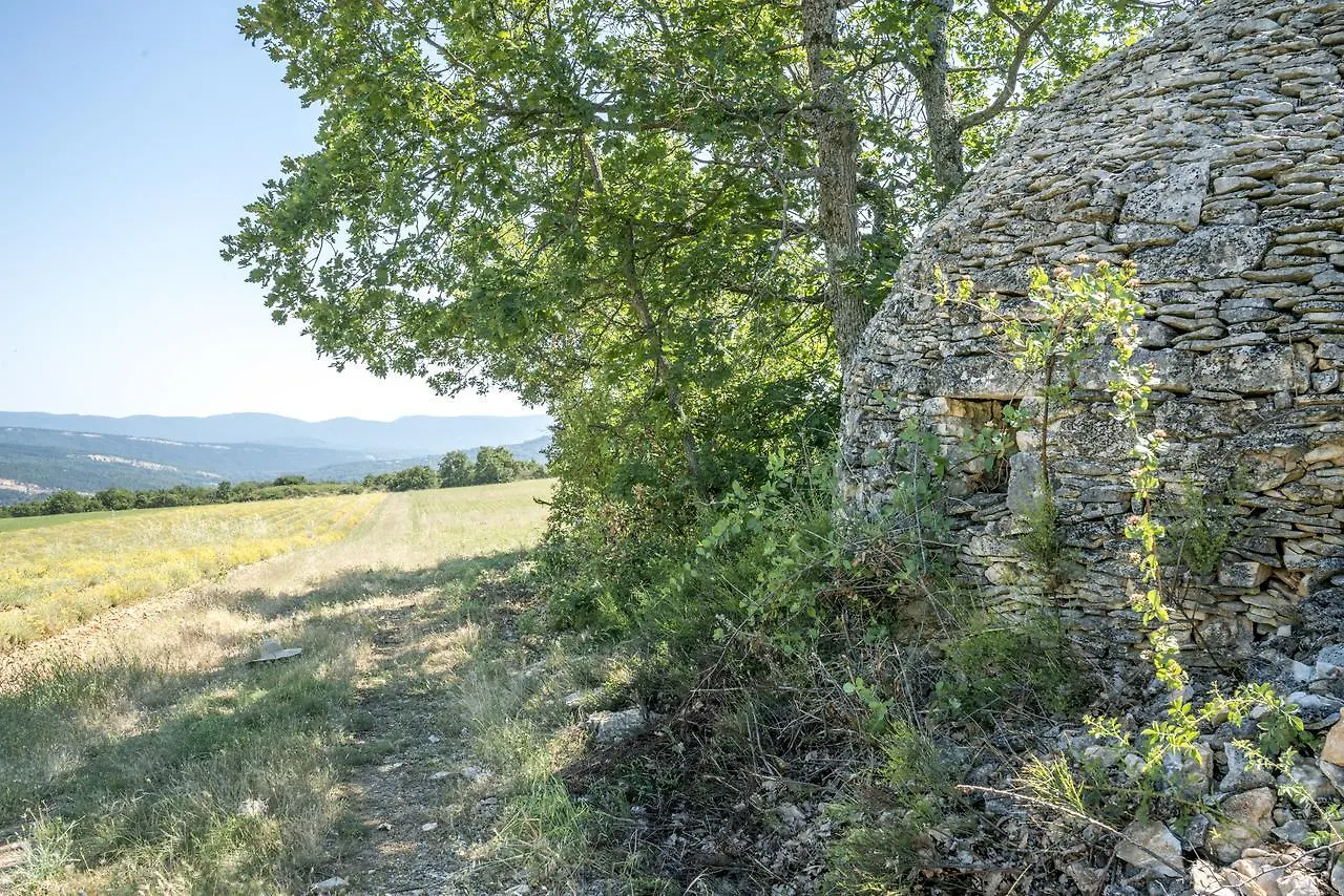 Domaine De Saint Quentin Bed & Breakfast Oppedette