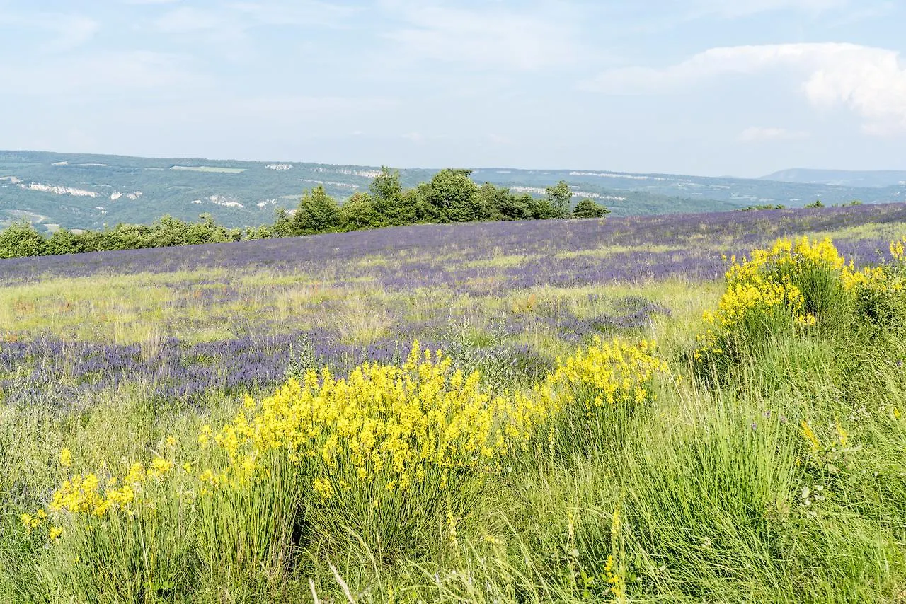 ***  Domaine De Saint Quentin Bed & Breakfast Oppedette France
