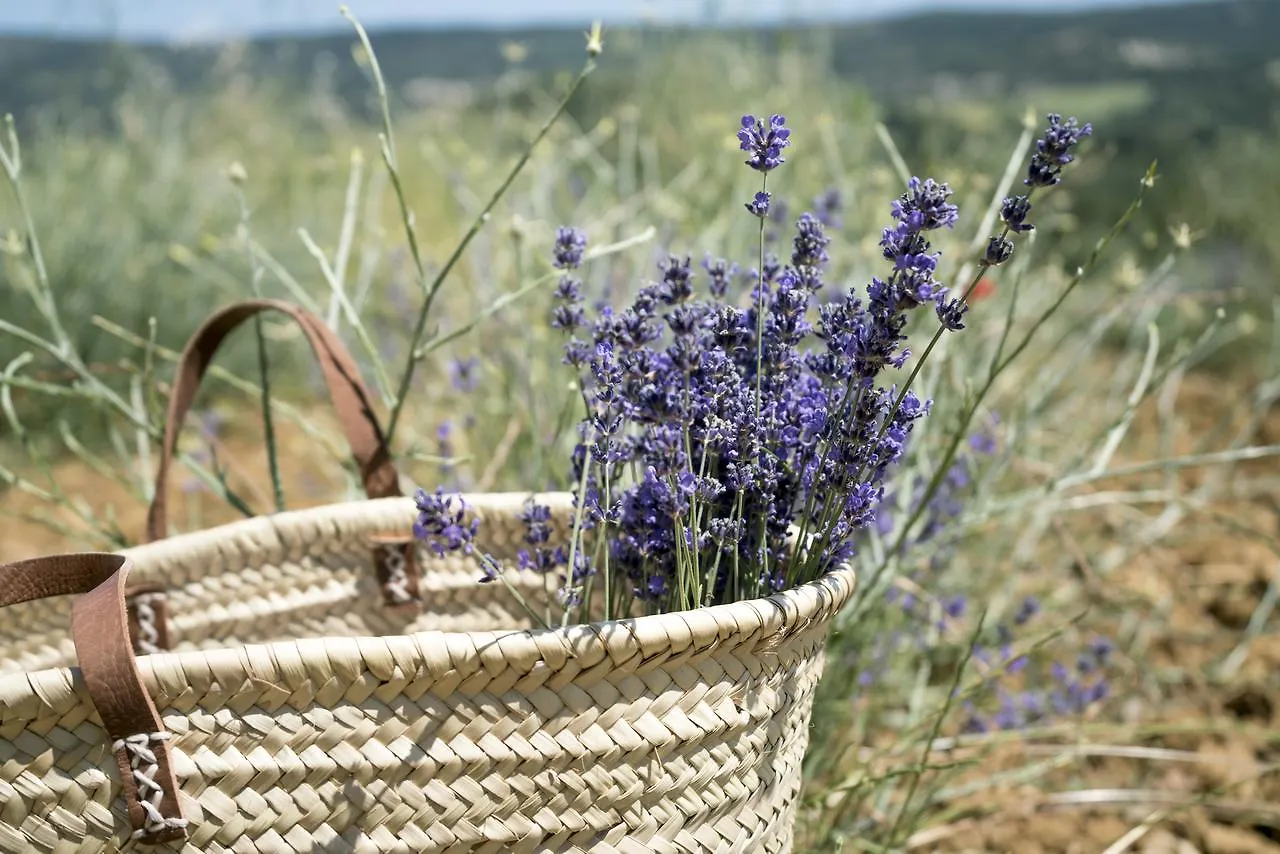 Domaine De Saint Quentin Bed & Breakfast Oppedette