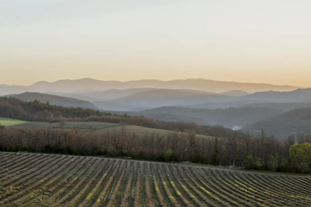 Bed and Breakfast Domaine De Saint Quentin Oppedette Bed & Breakfast