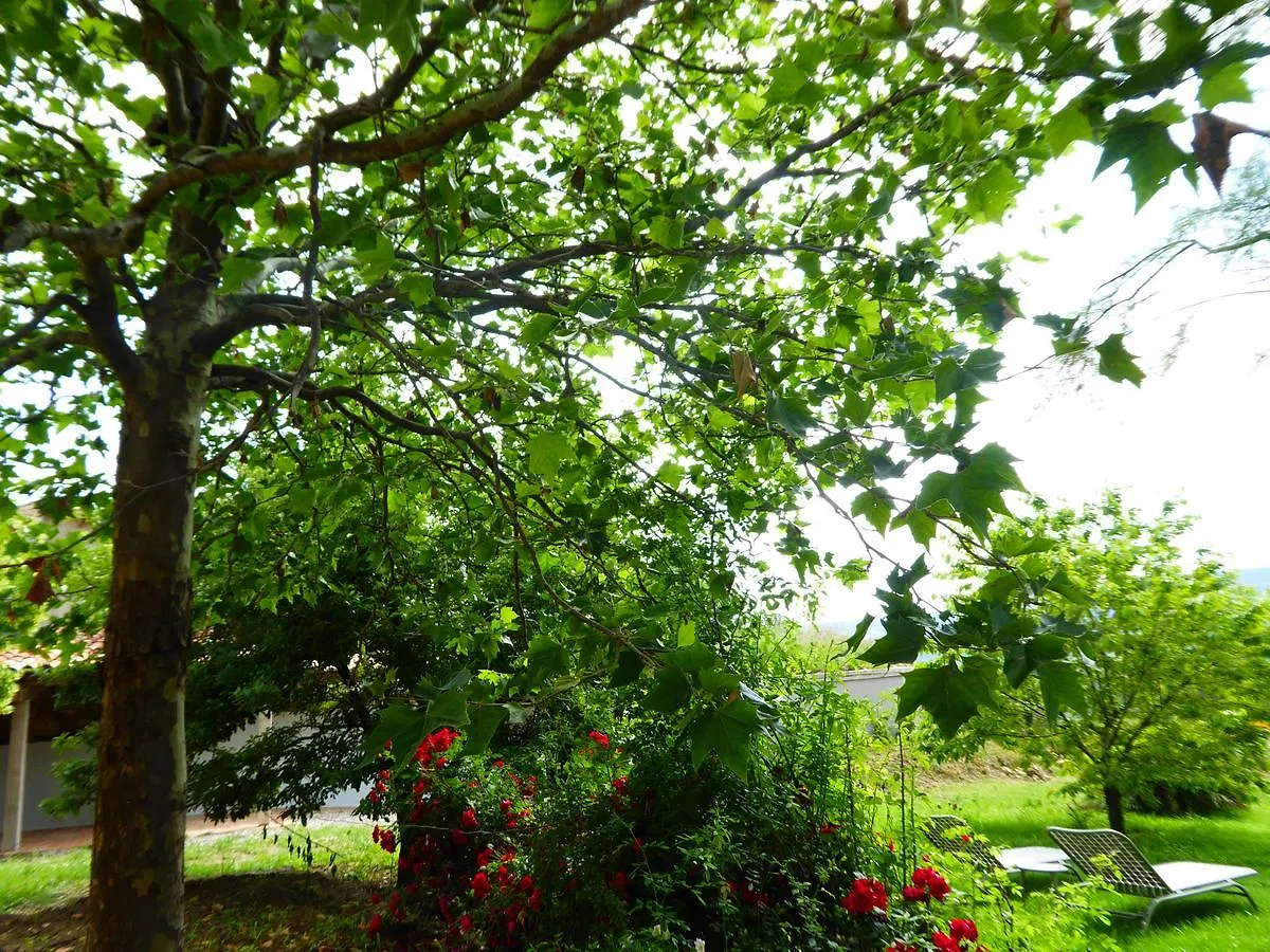 Bed & Breakfast Bed and Breakfast Domaine De Saint Quentin Oppedette