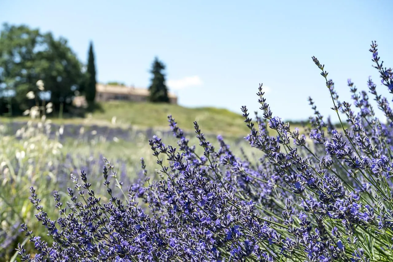 Bed and Breakfast Domaine De Saint Quentin Oppedette Francie