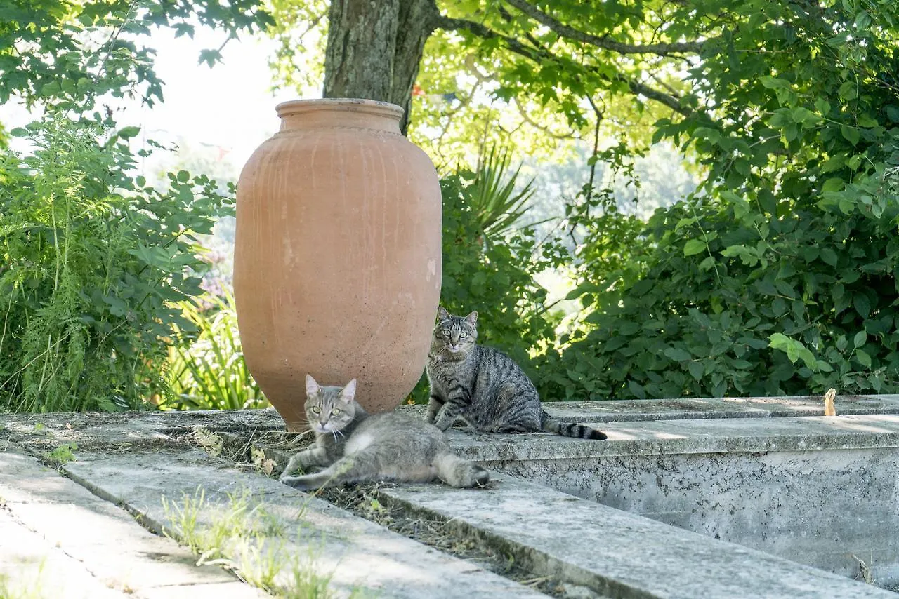 Bed and Breakfast Domaine De Saint Quentin Oppedette